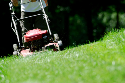 Lawn Mower Services